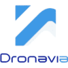 Logo dronavia