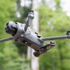 Drone volant dans la forêt verdoyante